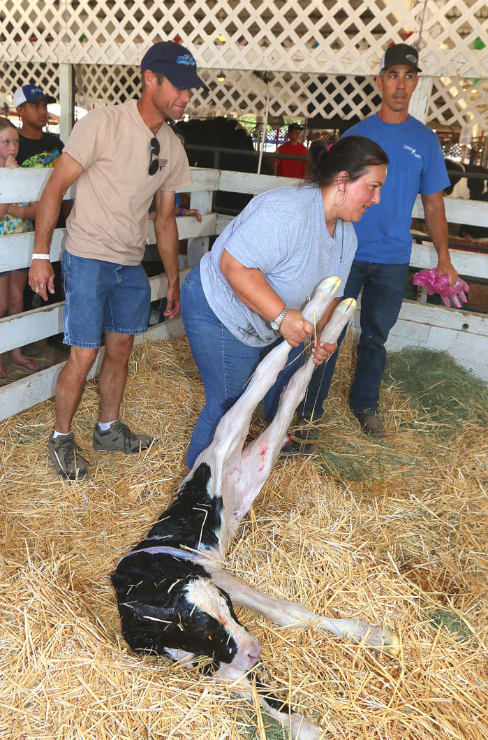 Kings Fair opens on Thursday